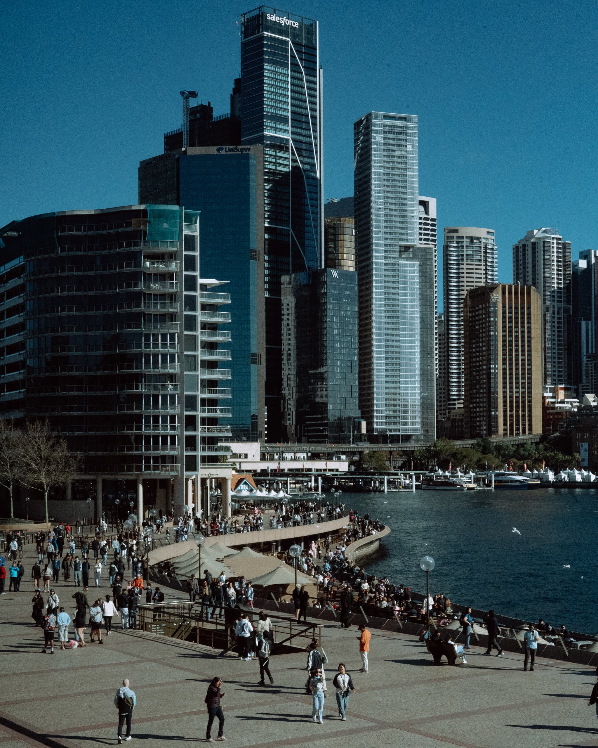 Crowds on the Circular Quay promenade beneath the Sydney tower skyline